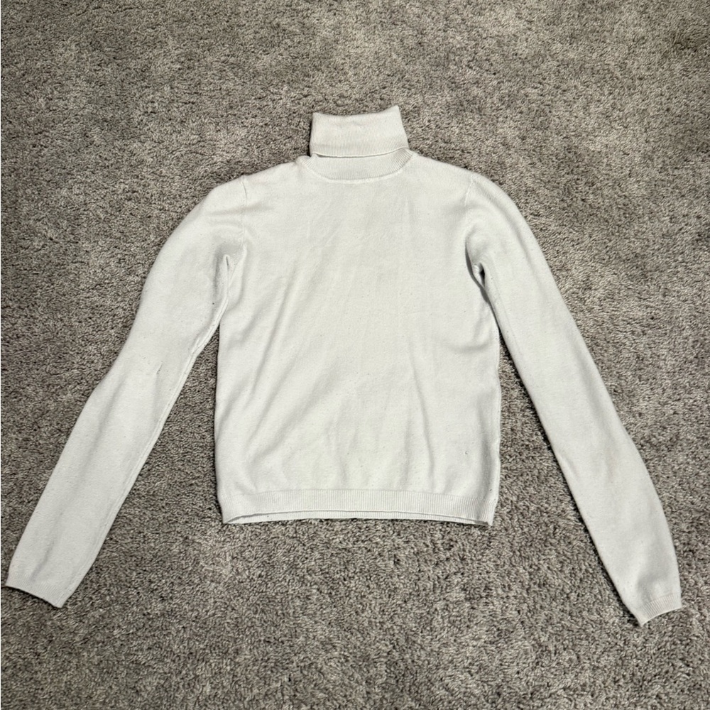 Ambiance Light Gray Turtleneck Sweater